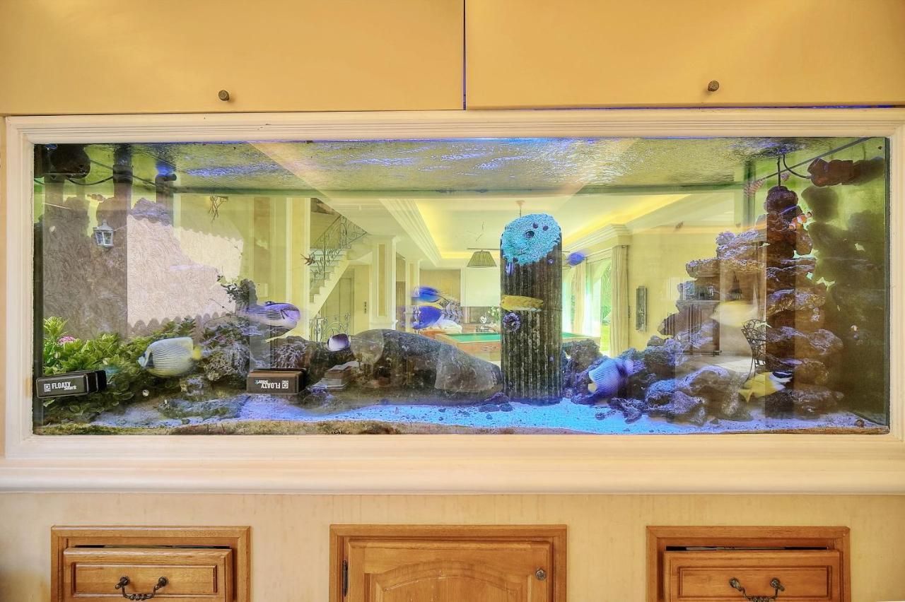 "Au Havre De Paix" 5 Etoiles Prestige Jacuzzi, Hammam, Sauna, Piscine Chauffee Mougins Cannes Grasse Екстериор снимка